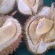 Pengembangan Sentra Durian, Pekalongan Siapkan Rp2,5 Miliar untuk Infrastruktur